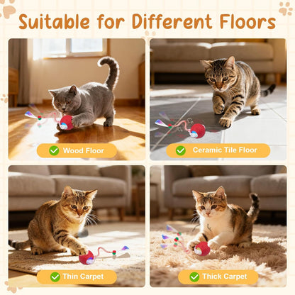 Interactive Smart Cat Toy Ball - Keeps Your Cat Playing & Active